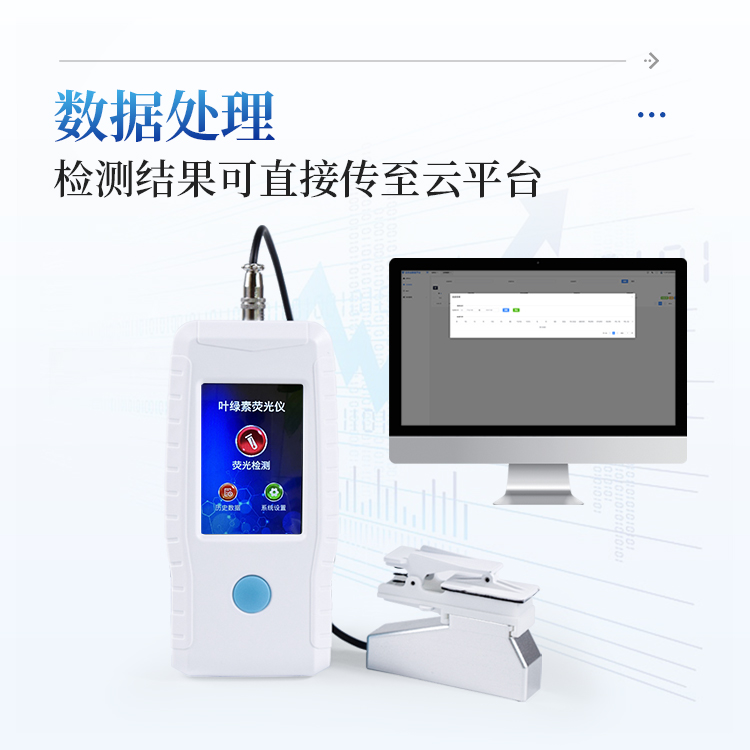 叶绿素荧光仪