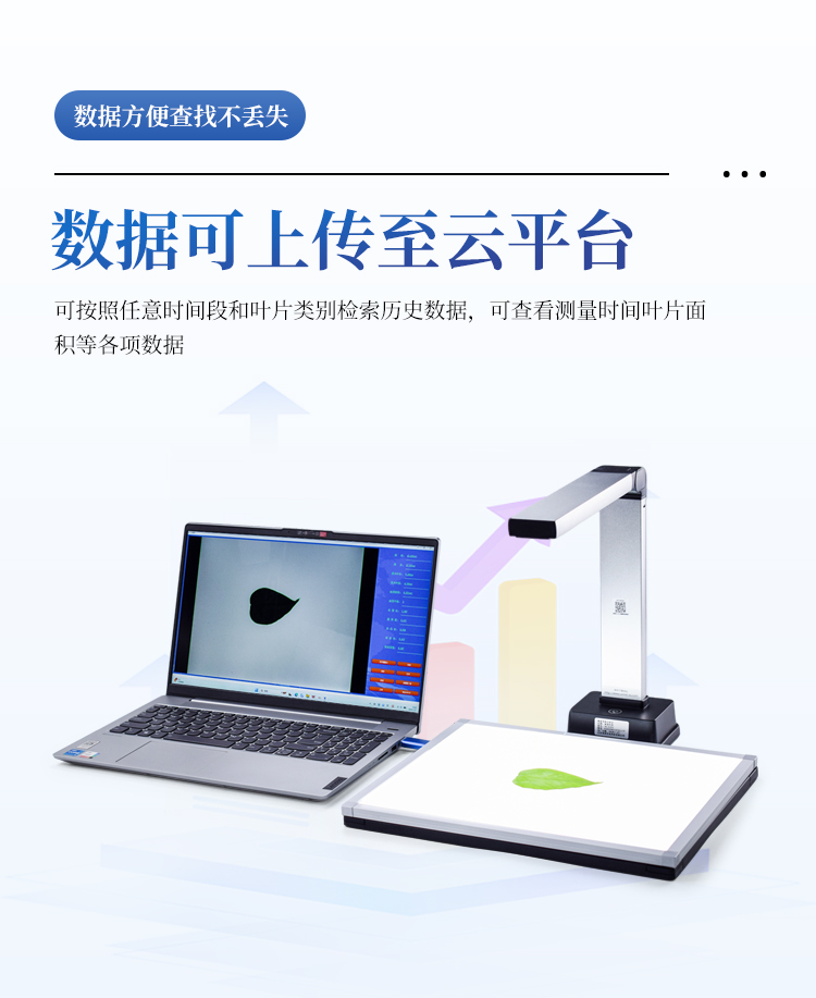 叶面积仪